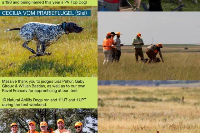 third page of prairie vista newsletter